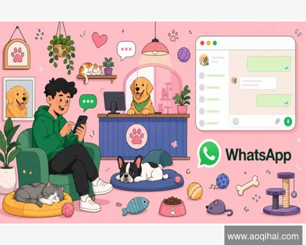 探秘WhatsApp：全球社交通信巨头归属之谜